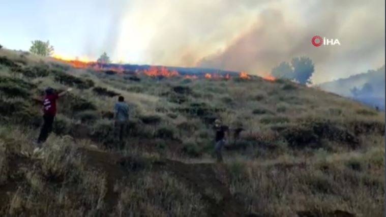 Adıyaman'daki yangınlarda 14 hektar alan zarar gördü 18